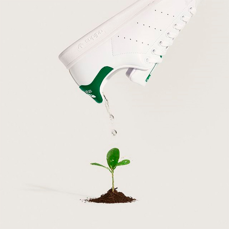 The iconic Adidas vegan trainers Stan Smith x Stella McCartney watering a plant